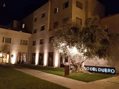 Nh Palacio Del Duero 4* 사모라